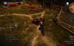 The Witcher 3 ubij vještca iz mačje škole