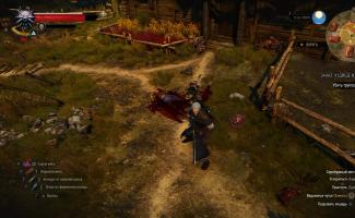 Witcher 3 ubija vještica iz škole za mačke