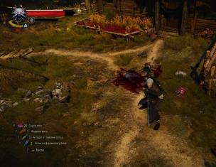 The Witcher 3 ubij vještca iz mačje škole