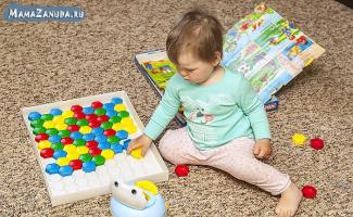 Savjeti za roditelje o podučavanju i razvoju djece koristeći igru ​​„Mozaik“ Edukativne i razvojne funkcije igre